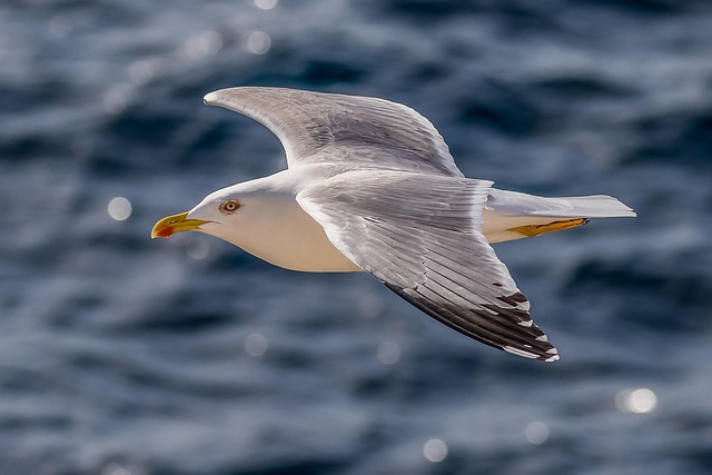 Investere i gull: Sikre formuen din mot inflasjon og usikkerhet